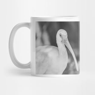 American white ibis black and white Big Mug